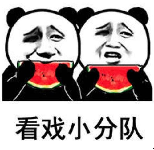 吃瓜这个表情包是什么意思,网络时代的社交密码