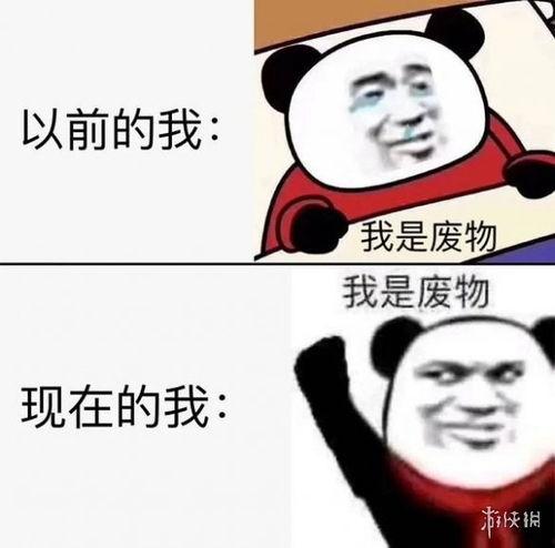 表情包排名