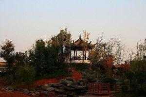 十里亭娱乐网,揭秘热门娱乐资讯，畅享精彩生活